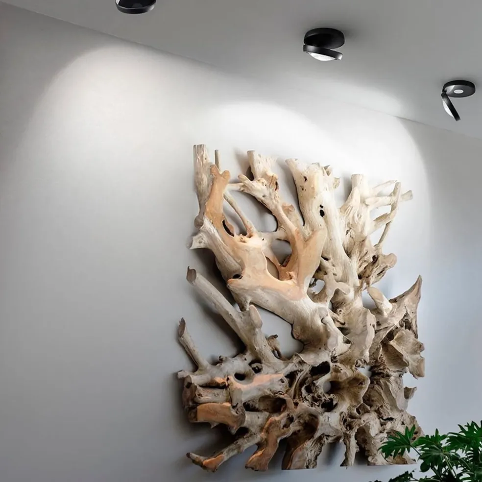 Plafondspot Nautilus zwart