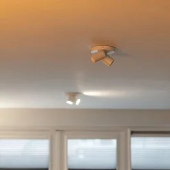 Plafondspot Oliver 2L rond tube wit gu10