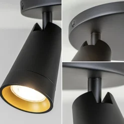 Plafondspot Petunia 2L rond zwart/goud