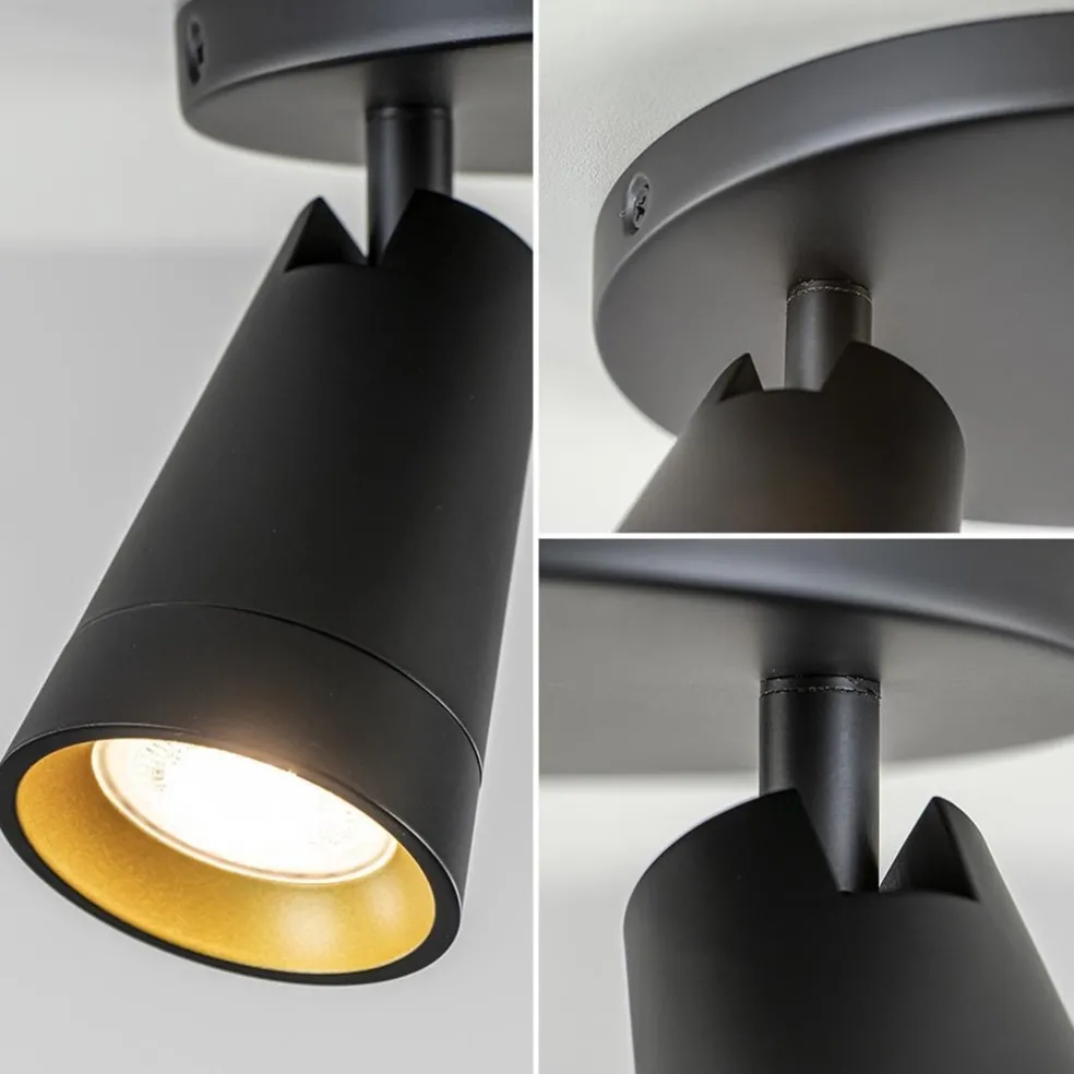 Plafondspot Petunia 2L rond zwart/goud