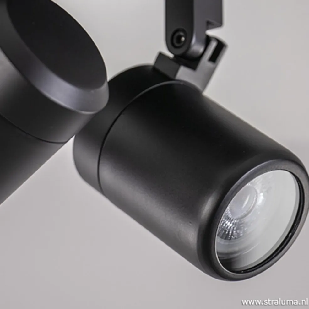 Plafondspot Rain 2L rond zwart IP44