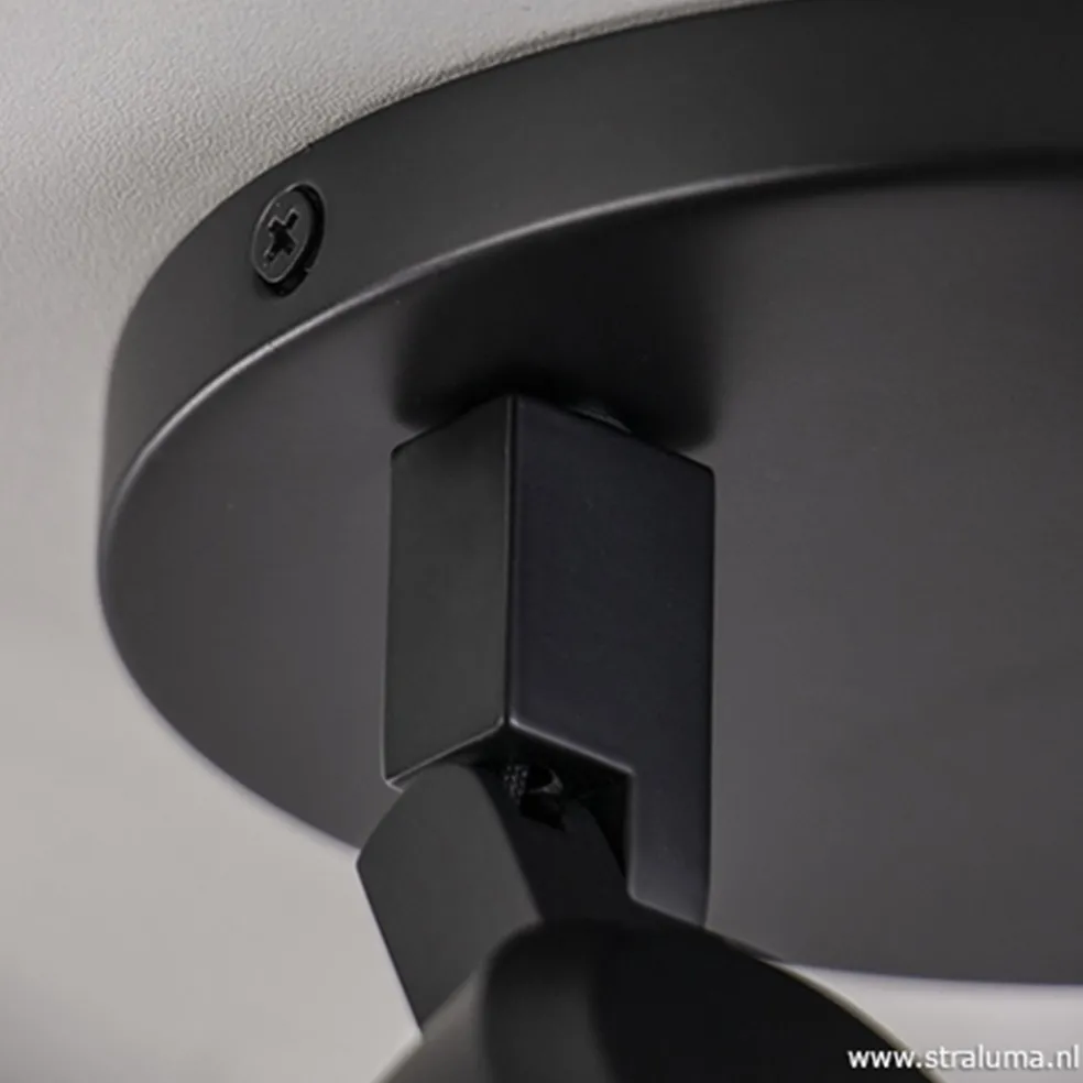 Plafondspot Rain 2L rond zwart IP44