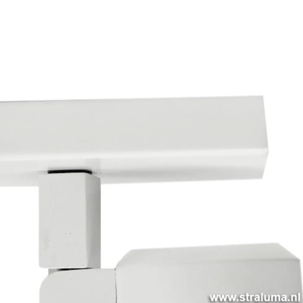 Plafondspot Rain 2L wit gu10 IP44