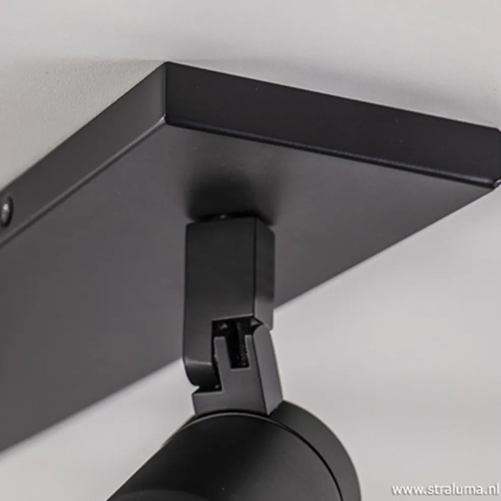 Plafondspot Rain 2L zwart balk IP44