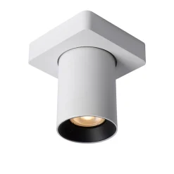 Plafondspot tube 1-L wit incl.gu10 dtw