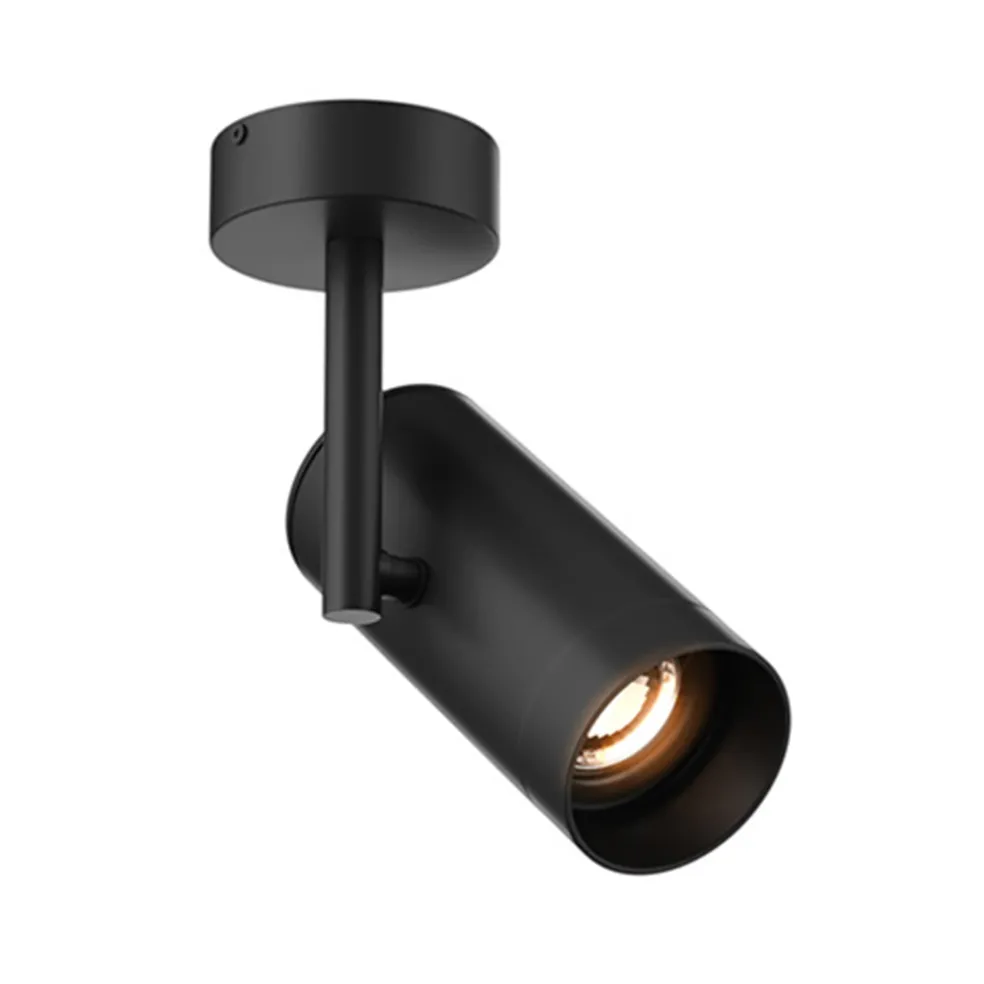 Plafondspot tube zwart verstelbaaar