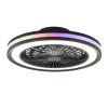 Plafondventilator zwart inclusief dimbaar LED en kleur