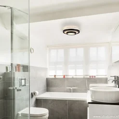 Plafonnière Master zwart+opaal glas IP44