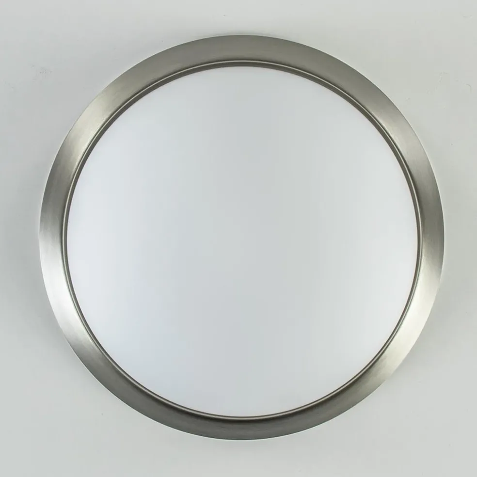 Plafonnière rvs + mat glas 30cm