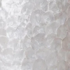 Romantische schelpen wandlamp ivoor