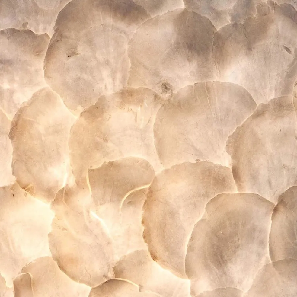 Romantische tafellamp schelp dressoir