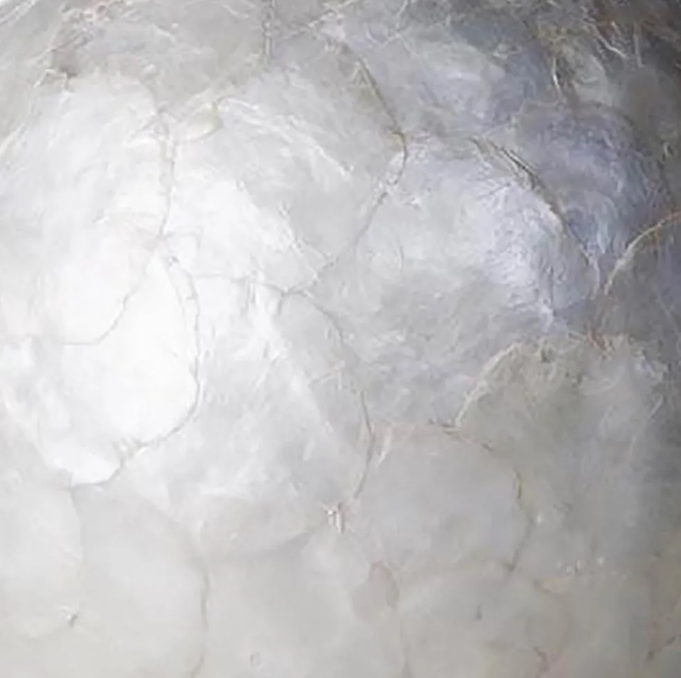 Romantische tafellamp schelp dressoir