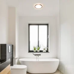 Ronde LED plafondlamp zwart met 3 licht opties IP44