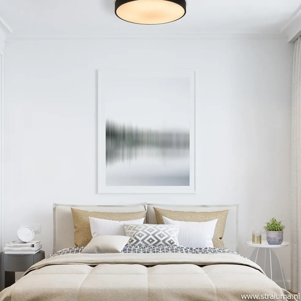 Ronde plafondlamp zwart inclusief LED en remote