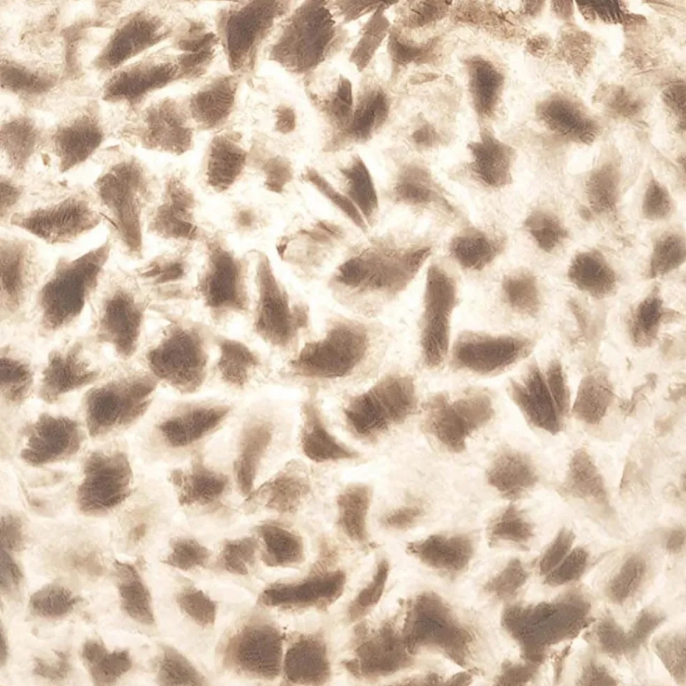 Ronde schelpen hanglamp wit/parelmoer 50 cm