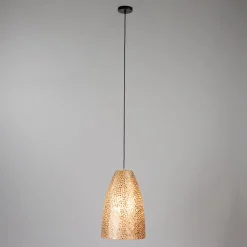 Schelpen hanglamp goud rond