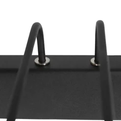 Schilderijlamp Litho zwart 60cm+dim.cct