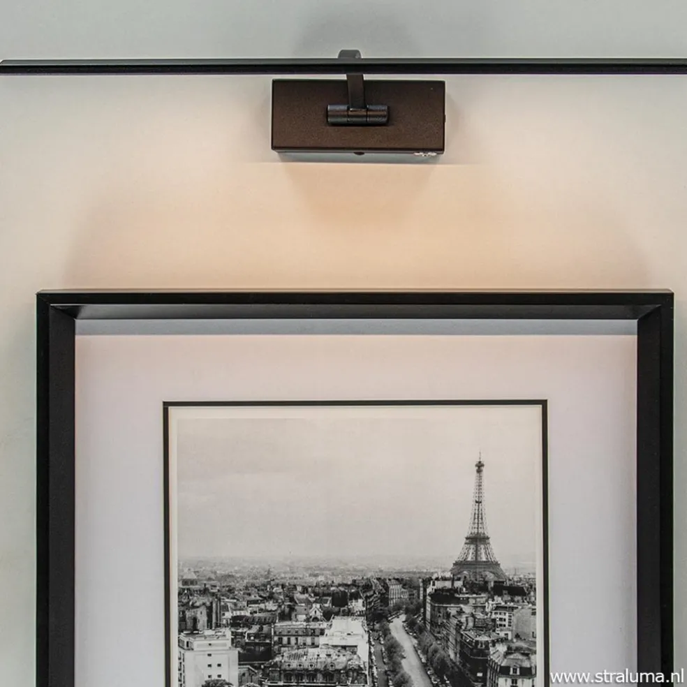 Schilderijlamp zwart 45cm met dimmer