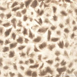 Sfeervolle tafellamp met schelpen kap