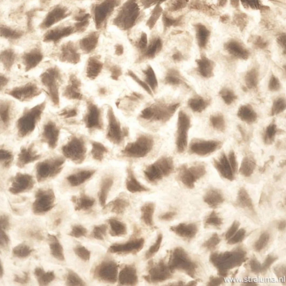 Sfeervolle tafellamp met schelpen kap