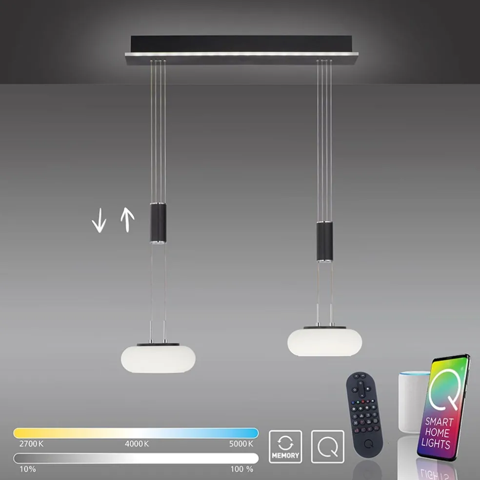 Smart hanglamp 2-lichts mat zwart met opaal glas dimbaar
