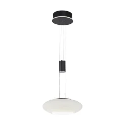 Smart hanglamp mat zwart met opaal glazen kap