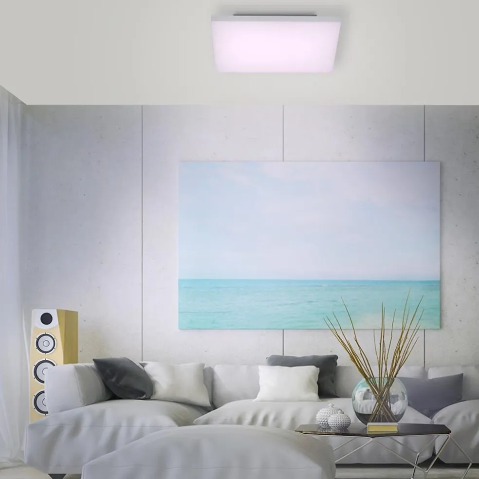 Smart LED paneel wit dimbaar 45x45 cm