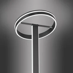 Smart vloerlamp verstelbare ring antraciet