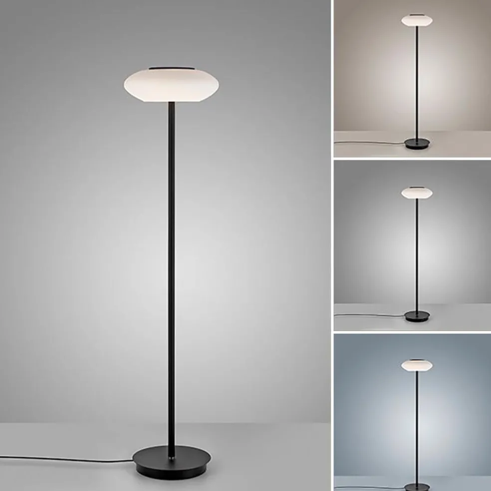 Smart vloerlamp zwart met wit glas dimbaar