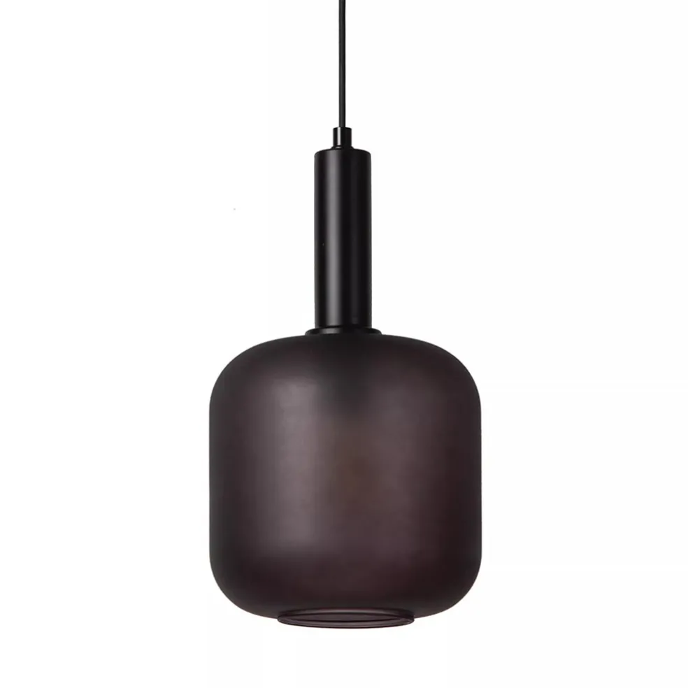 Stoere hanglamp zwart met mat zwart glas