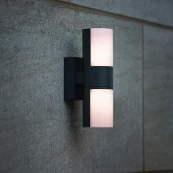 Verstelbare LED buitenlamp 2-lichts cilinder donker grijs
