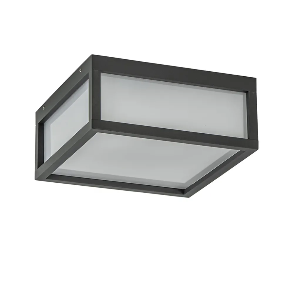 Vierkante buitenlamp dark grey plafond/wand
