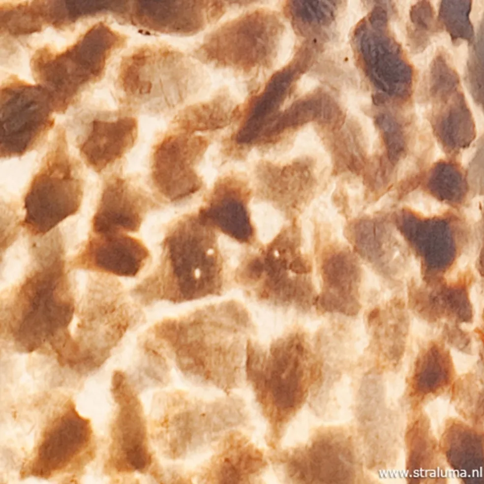 Vloerlamp cilinder capiz schelpen 200 cm