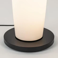 Vloerlamp Terra zwart pushdim dtw