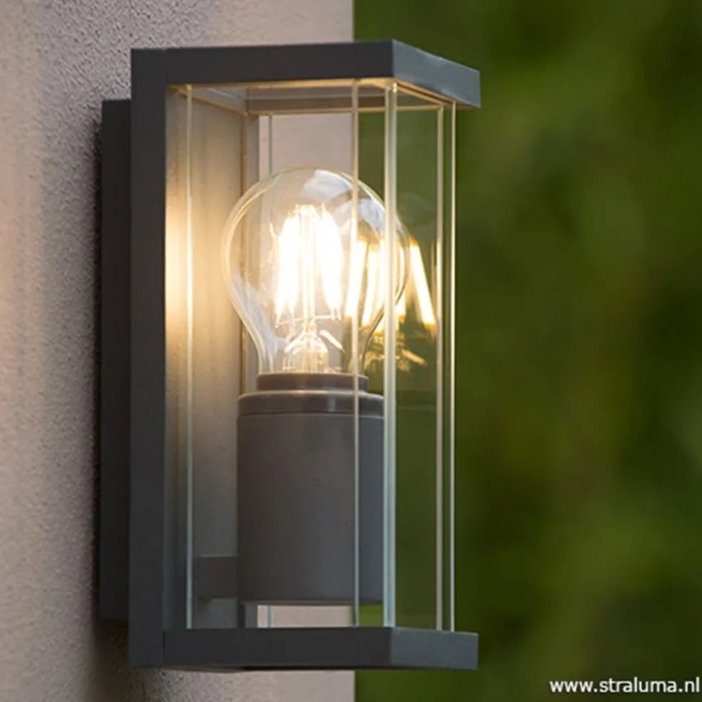 Wandlamp buiten antraciet/glas IP54