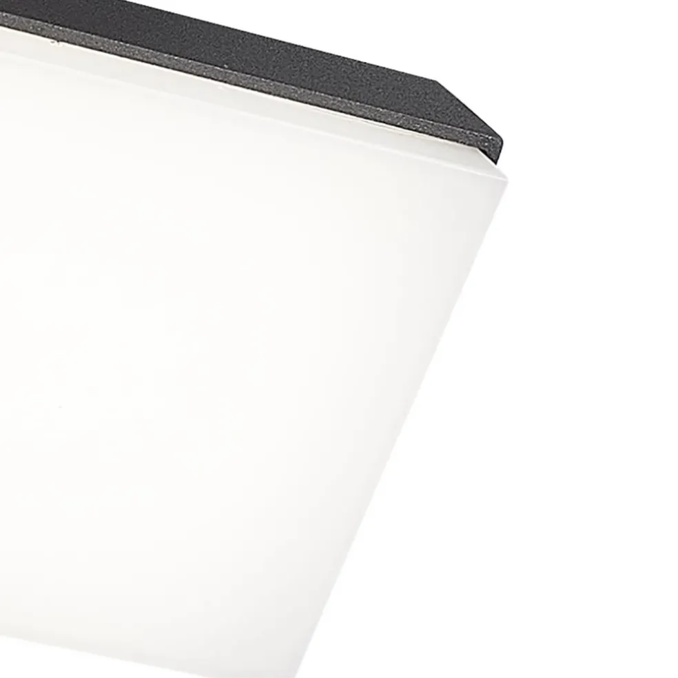 Wandlamp buiten antraciet