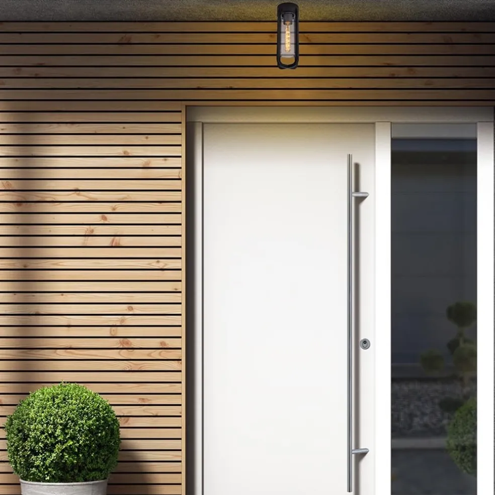 Zwarte buitenlamp plafond IP44